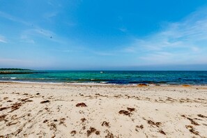 بالقرب من الشاطئ