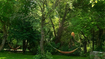 A hammock in a lush green forest setting.