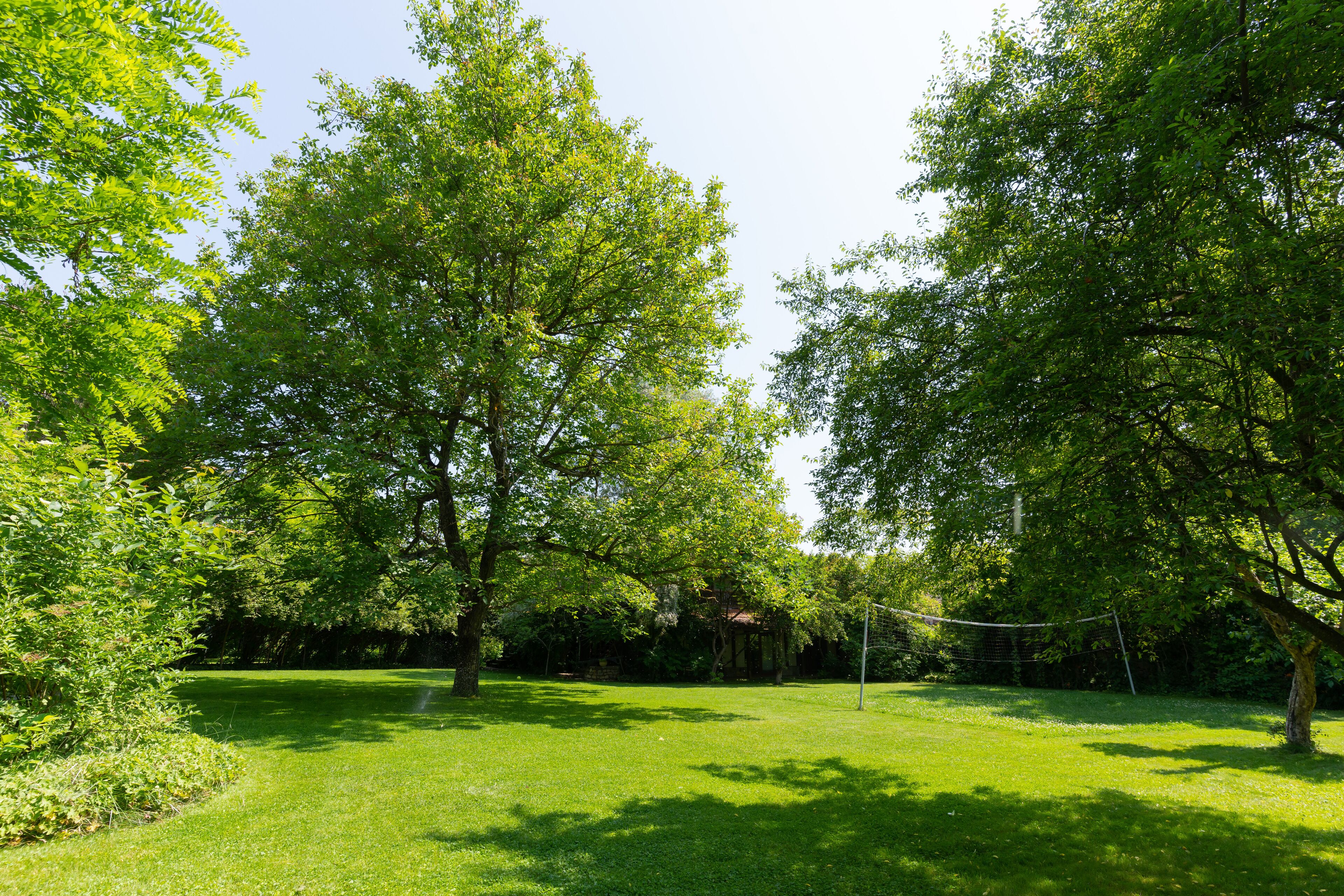 Ein üppiger, grüner Park mit ausgewachsenen Bäumen und einer gepflegten Rasenfläche.
