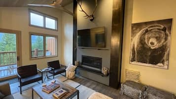 Smart TV, fireplace, books, printers