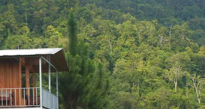 Cabaña para dos con una increíble vista al bosque de Platanillo