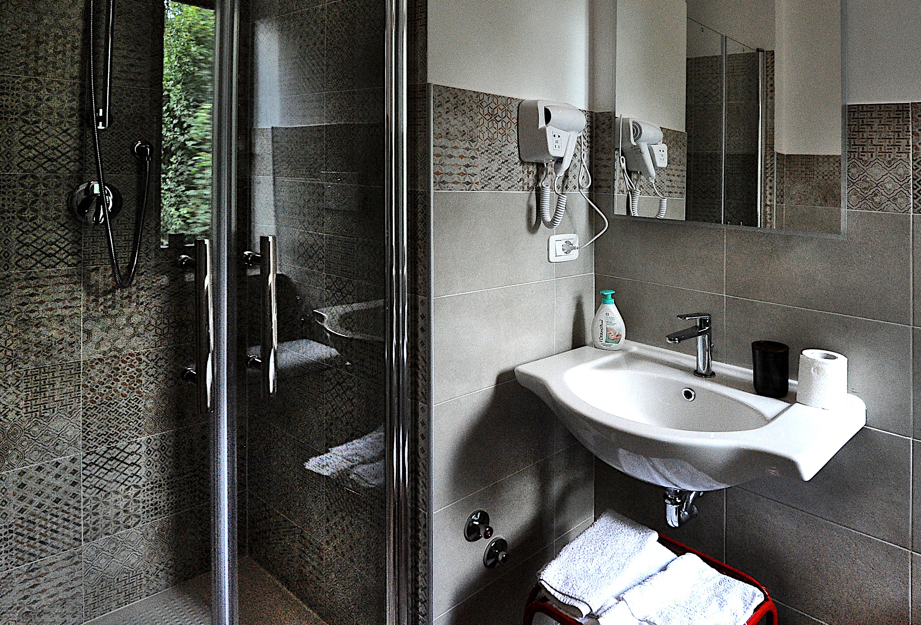 Shower, hair dryer, bidet, towels