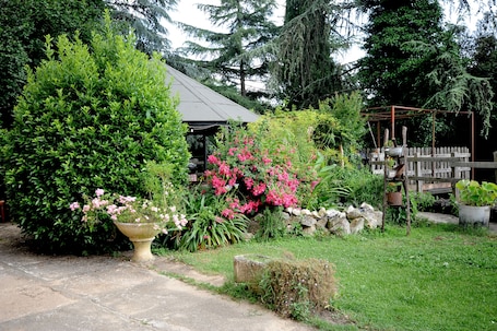 Property grounds. ANCIENT FARMHOUSE SURROUNDED BY GREENERY