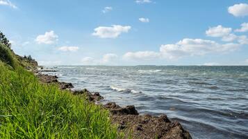 Tæt på stranden, fiskeri