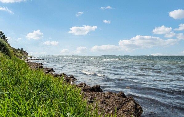 Tæt på stranden, fiskeri