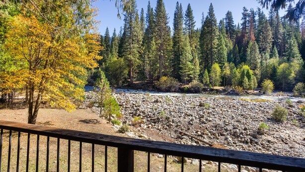 A river with a rocky bed, surrounded by a forest of tall evergreen trees. - Yosemite's Riverfront Retreat (Yosemite National Park)