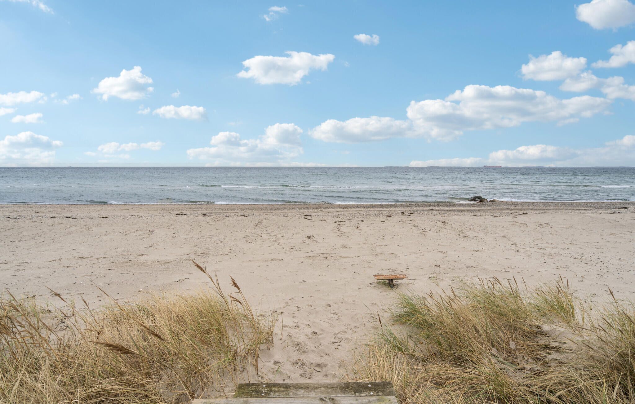 Nær stranden og fisking