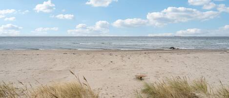 Nær stranden og fisking