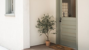 Un edificio blanco con una puerta verde, una ventana pequeña y una planta en maceta en el porche.