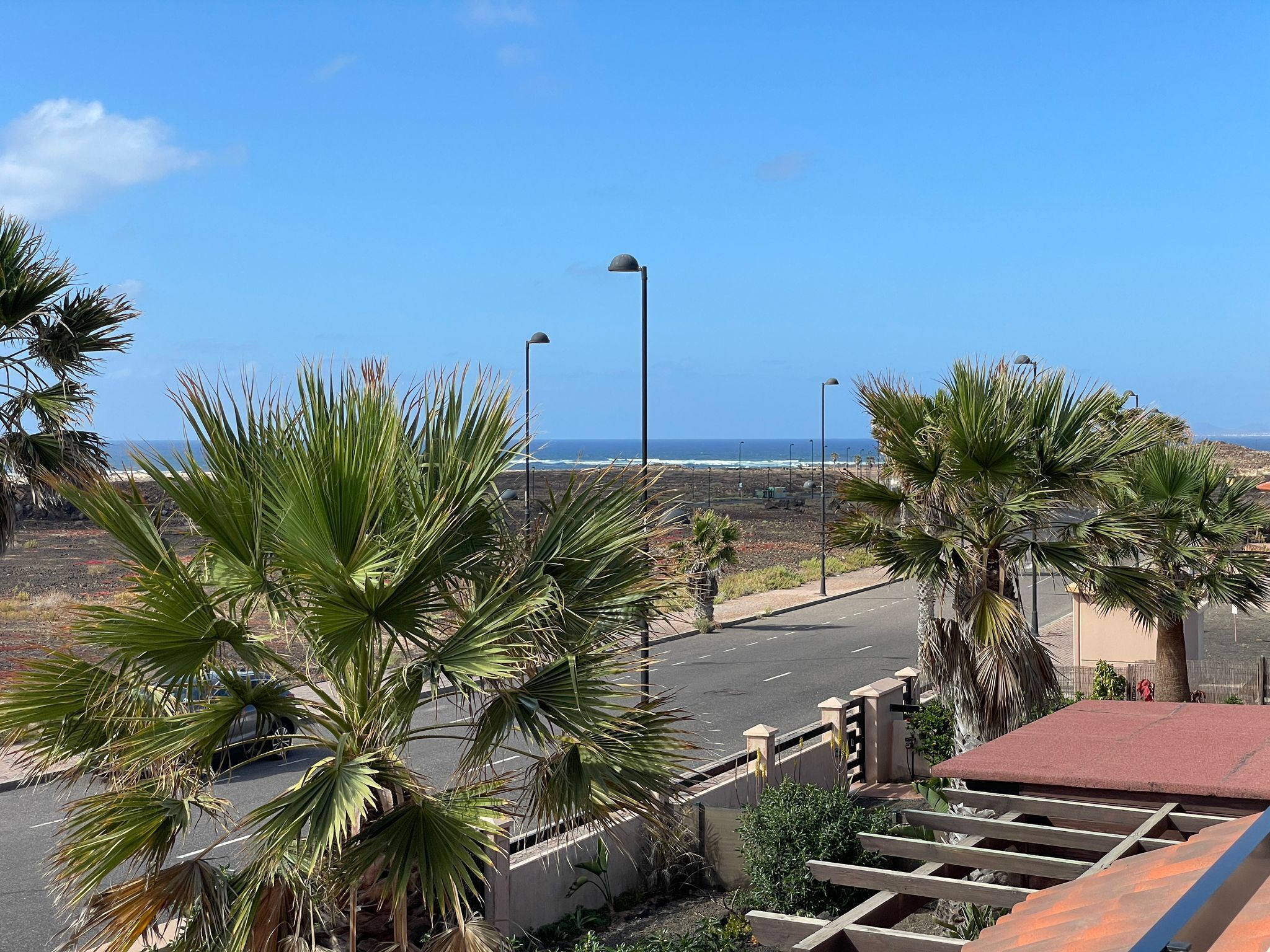 A coastal road with palm trees and a clear view of the ocean.
