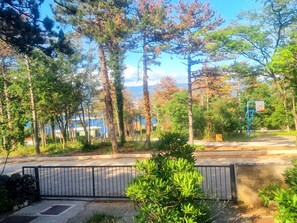 المنطقة المحيطة بالمنشأة