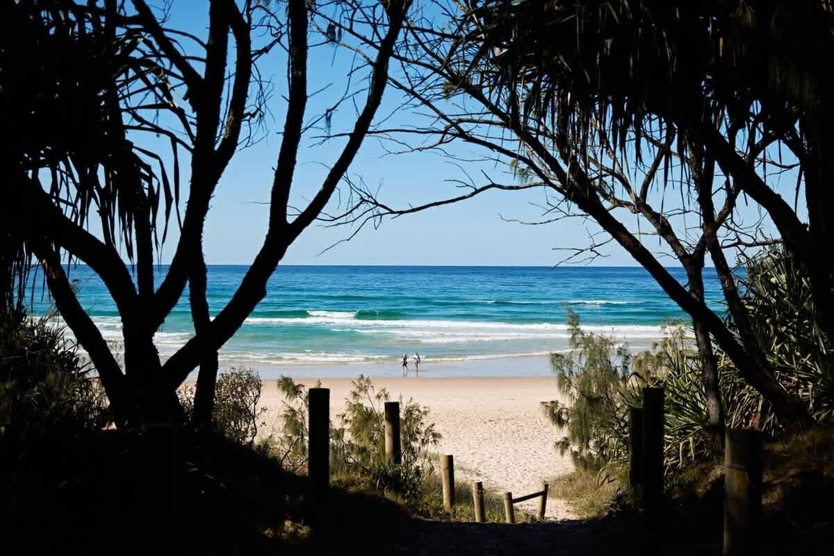 A beach view with a pathway leading to the shore, surrounded by trees.
