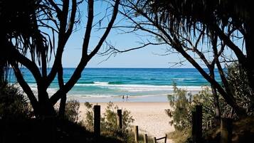 A beach view with a pathway leading to the shore, surrounded by trees.
