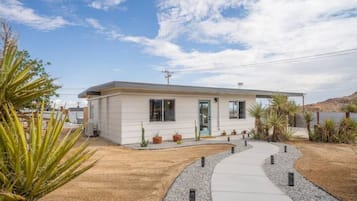Stylish single-story building with a flat roof, windows, and a pathway leading to the entrance, set amidst lush landscaping.