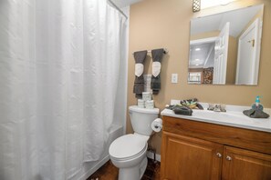 Hair dryer, soap, shampoo, toilet paper - The Voges' Lake House (Big Bear Lake)