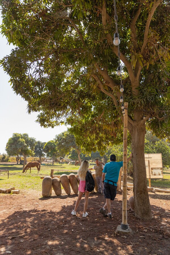 A park with a large tree, a horse, and people walking.