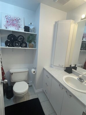 Serviettes fournies, savon, papier toilette