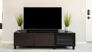 Uma sala de estar moderna com uma televisão de tela plana sobre um móvel de madeira escura, com duas plantas em vasos de cada lado.