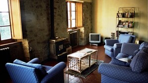 Ein gemütliches Wohnzimmer mit Kamin, Fernseher und Bücherregal.