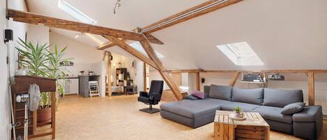 TV, DVD-spiller, bordtennis og stereoanlegg