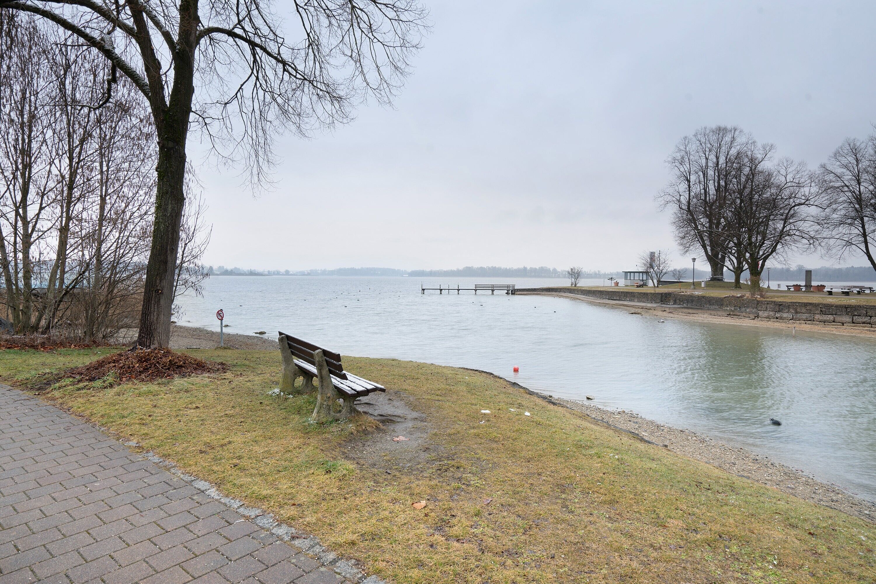 A park with a bench, a body of water, and trees.