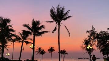 Beach/ocean view