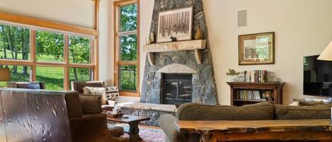 Télévision, cheminée, jeux vidéo, lecteur de DVD