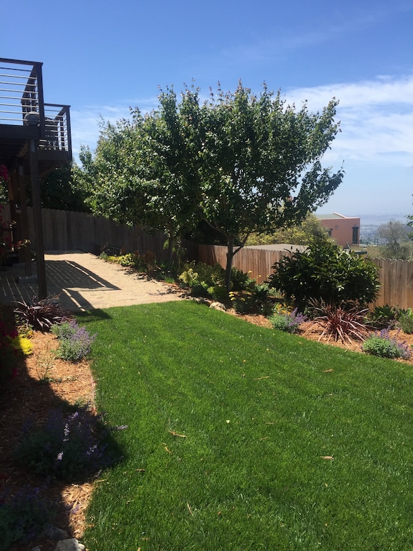 A backyard with a well-maintained lawn, a wooden fence, and a variety of plants.