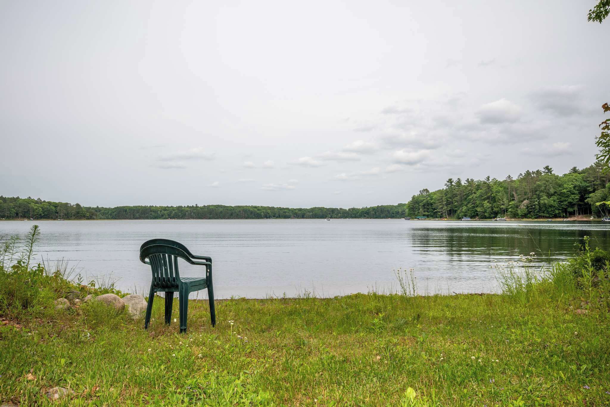 Une chaise placée au bord d’un lac, avec une prairie au premier plan et une rive boisée.