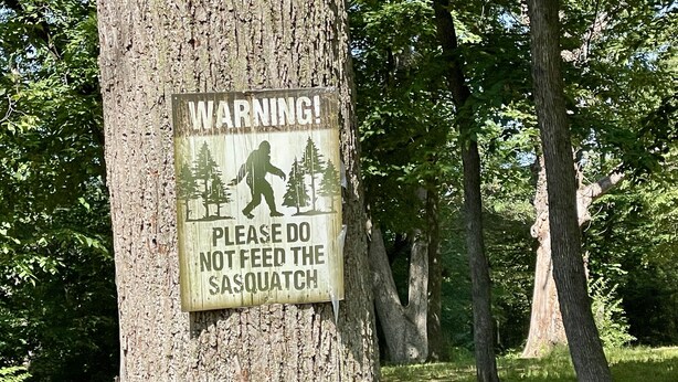 Ein Warnschild an einem Baum in einem bewaldeten Gebiet.