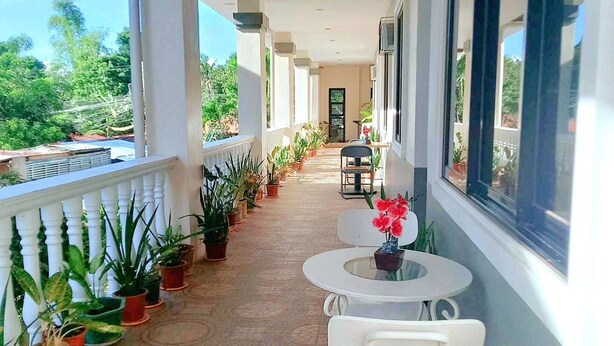 Un balcón techado con plantas en macetas, una mesa con sillas y vista a zonas verdes.
