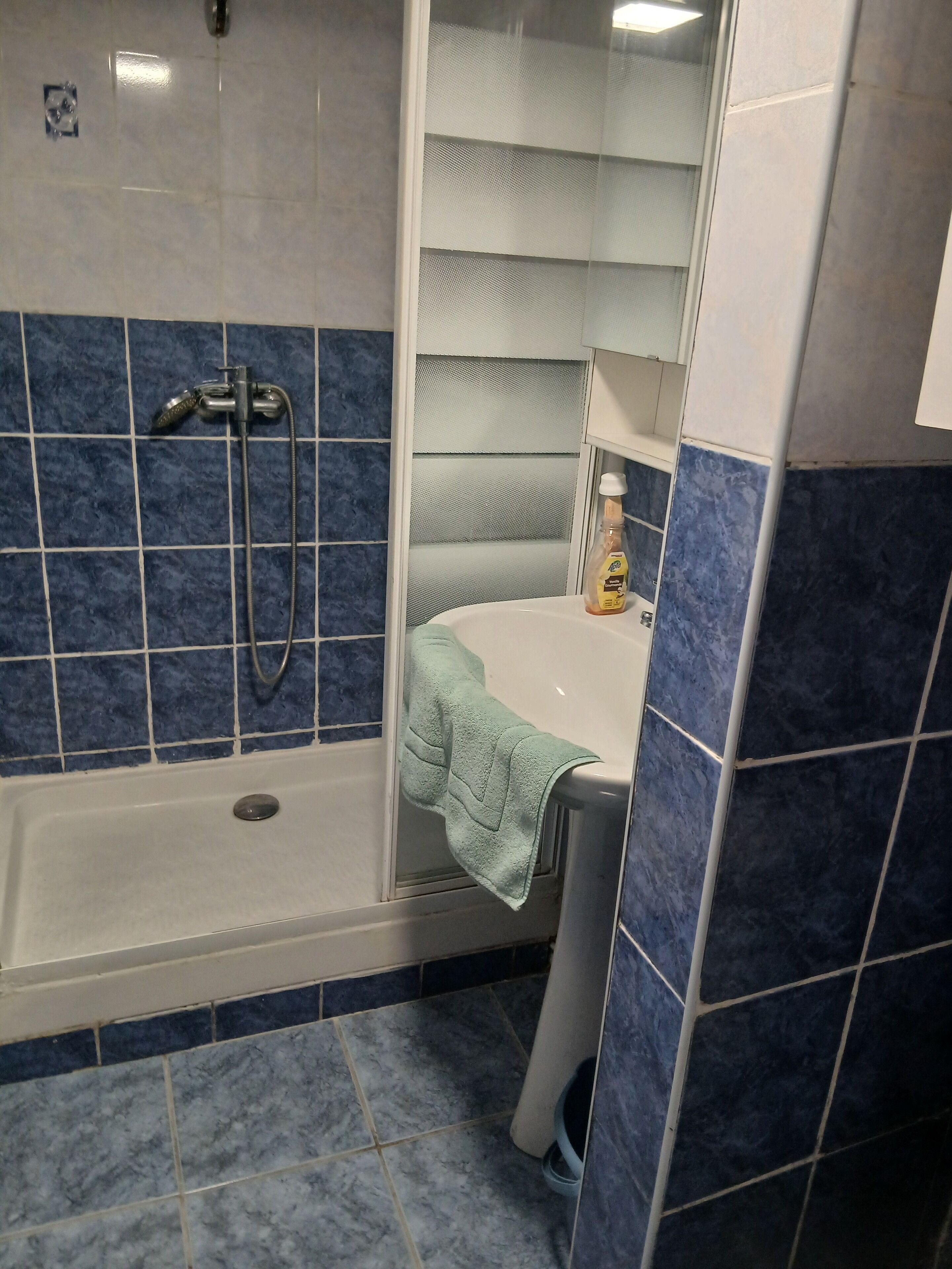 Douche, sèche-cheveux, serviettes fournies, papier toilette