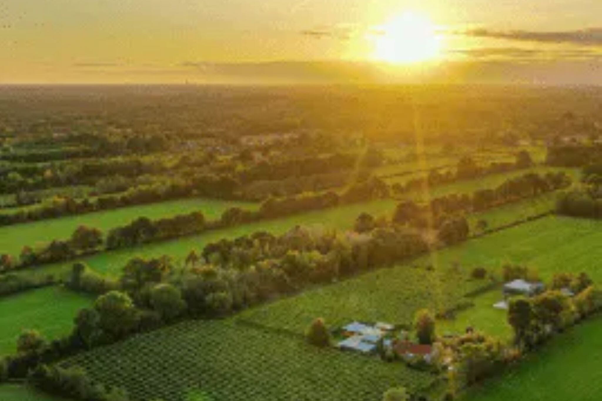 A rural landscape with fields and scattered houses during sunset.