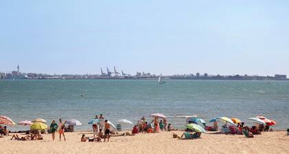 Apartment 'Magnificent Beachfront Flat' with Sea Views, Private Terrace and Wi-Fi