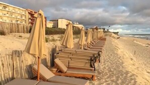 En strand med rækker af liggestole og parasoller, sand og bygninger i baggrunden.