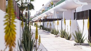 Ein Weg, gesäumt von Aloe-Pflanzen, an der ein weißes Gebäude mit gewölbtem Dach und Satellitenschüsseln steht.