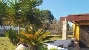 A garden with palm trees, a stone wall, and a wooden structure with a yellow exterior.