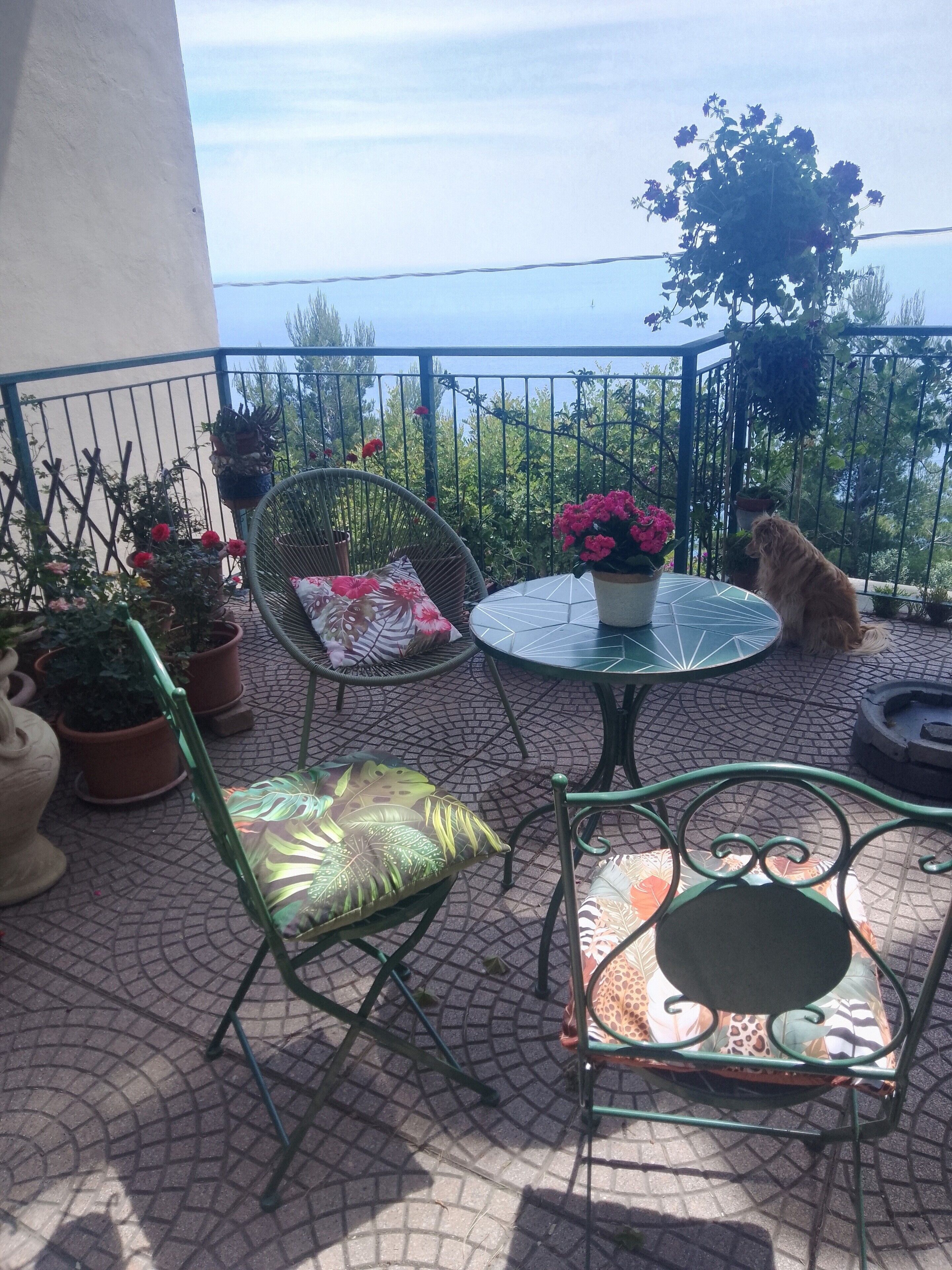 A patio with a round table, two chairs, and a dog.