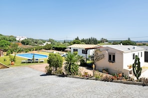 A residential property with a swimming pool, a patio area, and a cacti plant.