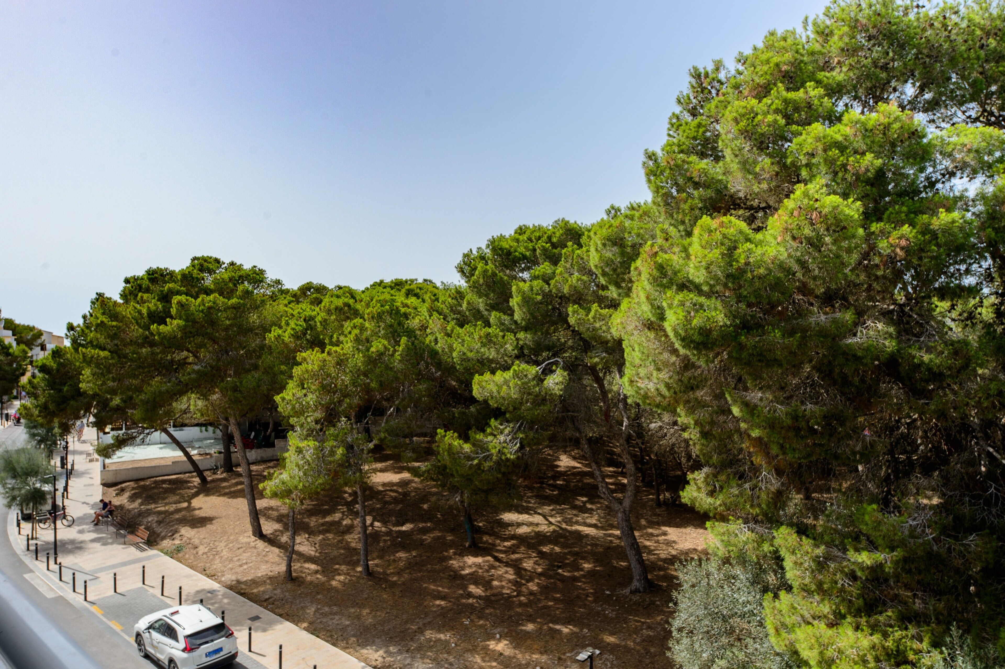 Un parc avec des arbres, un trottoir et une voiture garée.