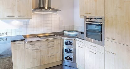 Apartment 'Brugghof Brugg' with Mountain View, Balcony and Wi-Fi