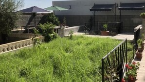 Een dakterras met diverse planten en een klein zwembad.