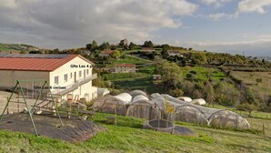 Paisaje rural con una casa, un columpio y varios invernaderos.