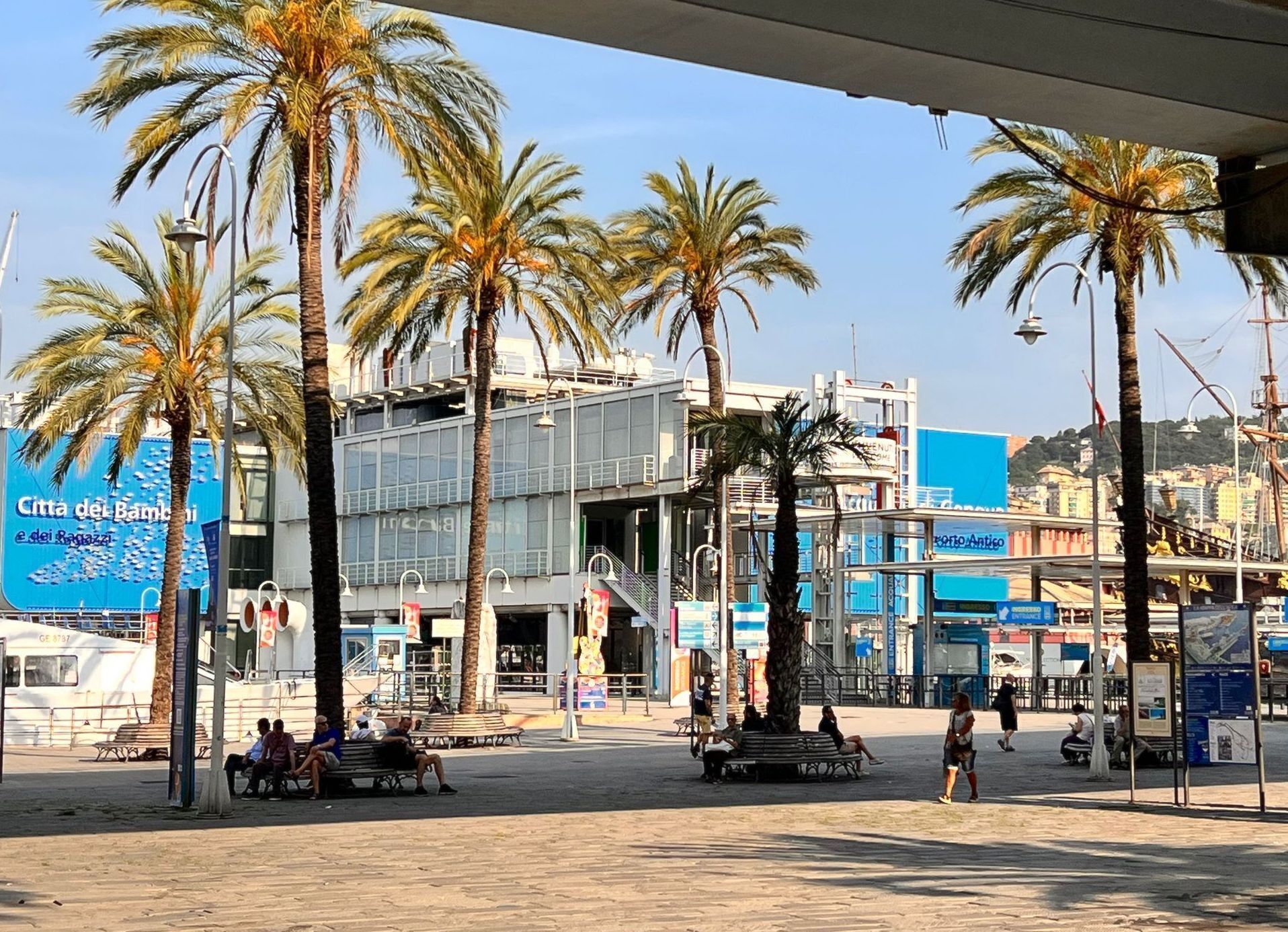 An outdoor plaza with palm trees, benches, and a modern building with glass windows.
