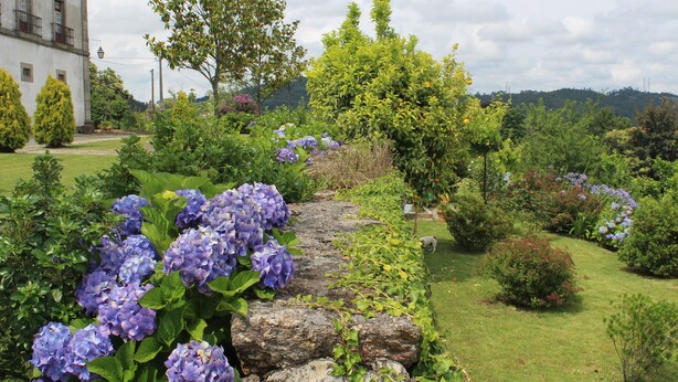 Ein Gartenpfad mit Hortensien, ein weißes Gebäude mit Balkonen und verschiedenen Bäumen und Sträuchern.