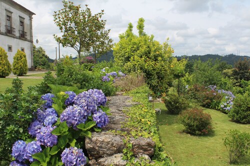 Charming&spacious Familyhouse+pool@guimarães,perfect for Fam+friendsgettoghether