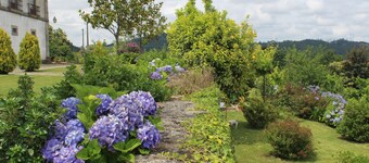 Charming&spacious Familyhouse+pool@guimarães,perfect for Fam+friendsgettoghether