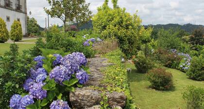 Charming&spacious Familyhouse+pool@guimarĂŁes,perfect for Fam+friendsgettoghether