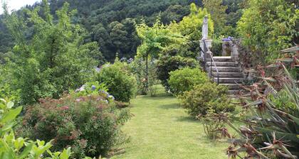 Charming&spacious Familyhouse+pool@guimarĂŁes,perfect for Fam+friendsgettoghether