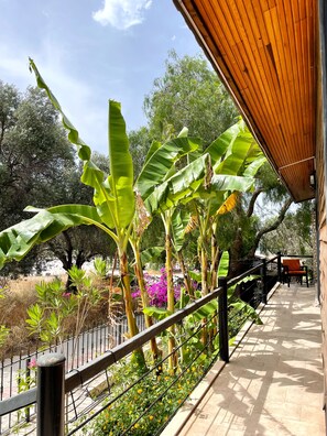 Habitación Deluxe | Terraza o patio